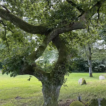 Hotel Velling Koller Og Bryrup