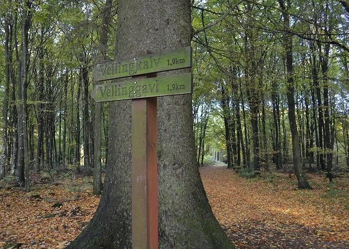 Velling Koller Og Bryrup