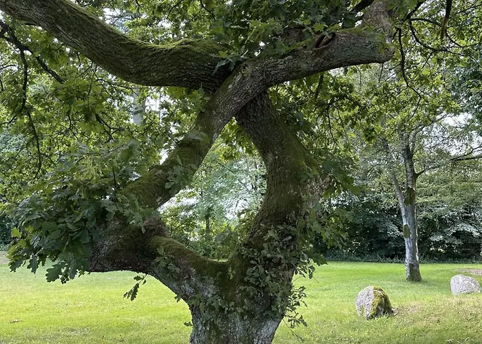 Hotel Velling Koller Og Bryrup